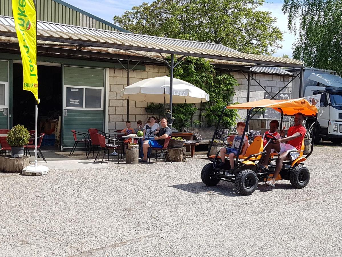 Hengstdijk Chalet Elstar מראה חיצוני תמונה